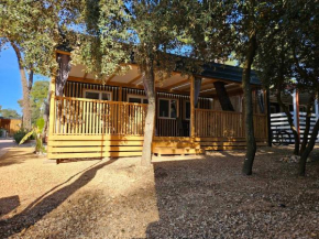 Paradiso mobile home
